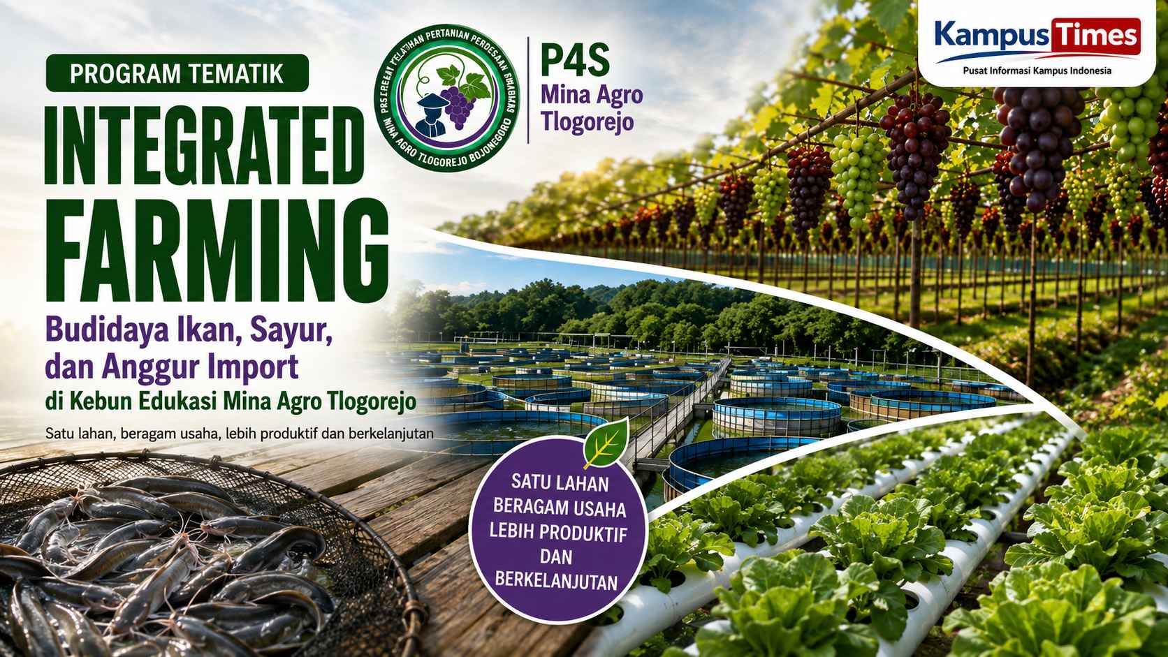 Integrated Farming Bojonegoro 2026: Pelatihan Budidaya Ikan, Sayur, dan Anggur dalam Satu Sistem